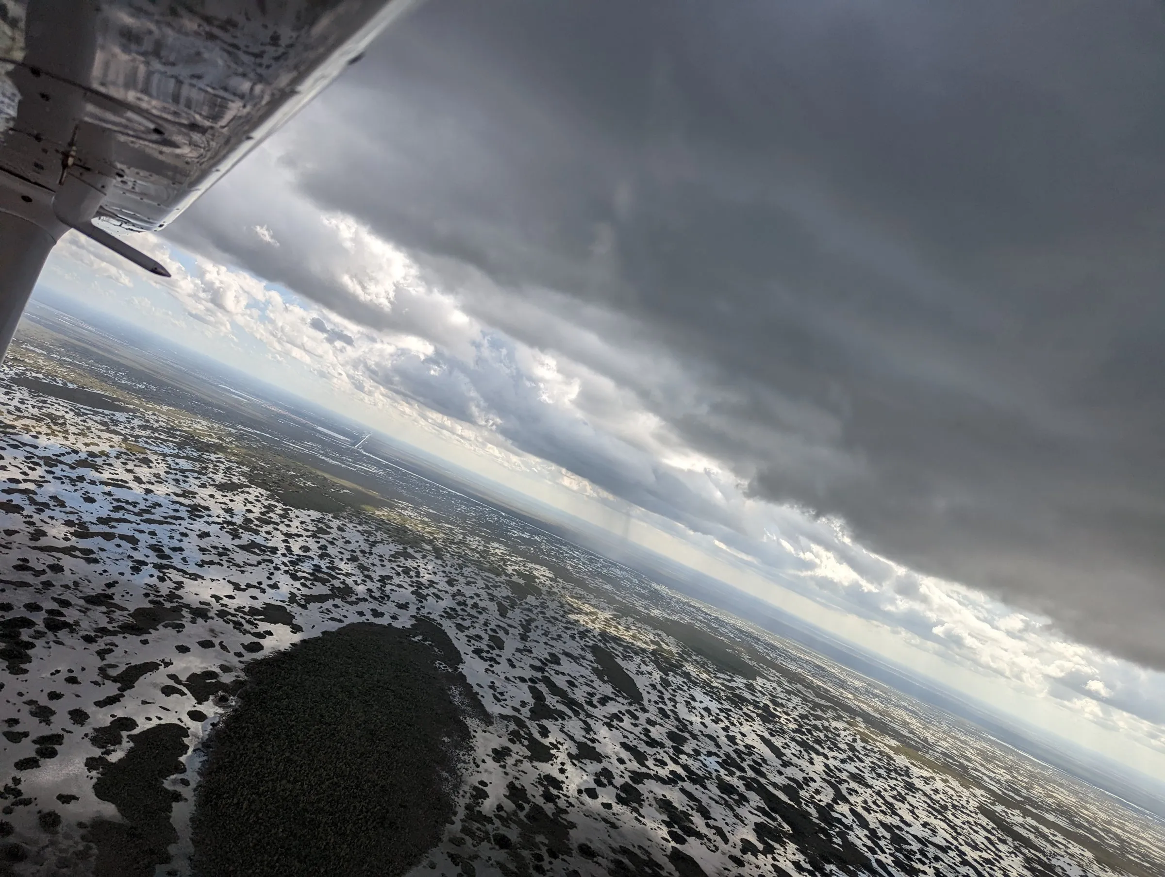 Aerial view of the Everglades sawgrass and tree islands from a banking Cessna
