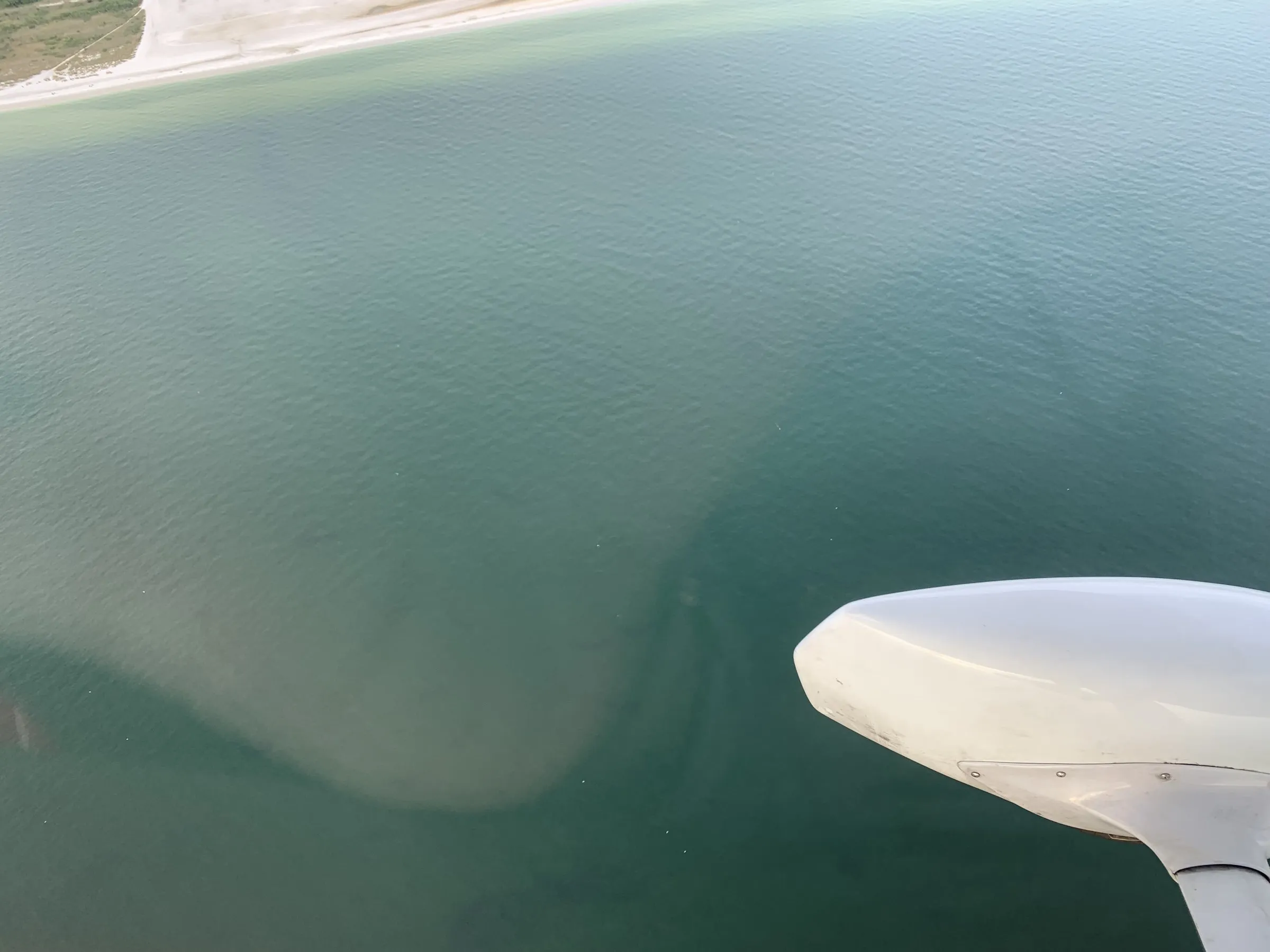Wingtip over teal Gulf shallows
